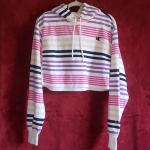 Champion UO Medium Stripe Cropped Hoodie